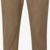 Pantalons Loosefit Broek Baron Daimeon Heren Bruin