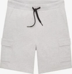 TOM TAILOR Denim Cargo Shorts Regular Cargobroek Heren Lichtgrijs