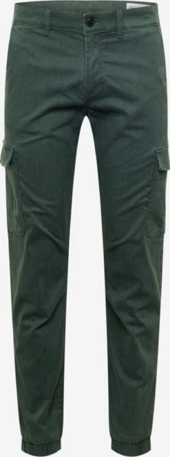 TOM TAILOR Denim Cargobroeken Regular Cargobroek Heren Donkergroen
