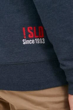 Solid Sweatvesten Met Capuchon Sweatvest BennZip Heren Blauw -Herenkleding Winkel 24766bf96f1656f6857228b4a017ca3a