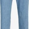 Jack & Jones Jeans Loosefit Jeans Eddie Heren Blauw