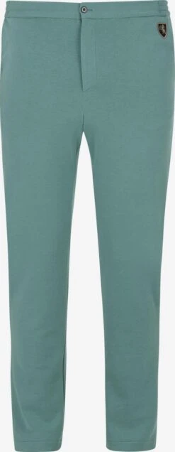 Pantalons Loosefit Broek Baron Blaine Heren Groen