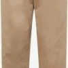 Pantalons Regular Broek Dante Heren Beige