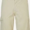 Petrol Industries Cargo Shorts Regular Cargobroek Heren Pastelgroen