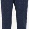 CARLO COLUCCI Pantalons Tapered Broek Heren Navy