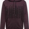 S.Oliver Hoodies Sweatshirt Heren Braam