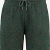 Shiwi Sweat Shorts Regular Broek Heren Groen