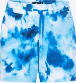 Hollister Sweat Shorts Regular Broek Heren Hemelsblauw / Lichtblauw