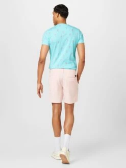 Hollister Chino Shorts Regular Chino Heren Rosa -Herenkleding Winkel aa024ba77e4cd25a0c1f95e58c1c2ea1