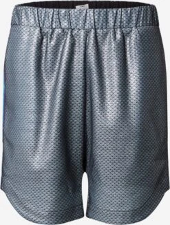 Shorts Loosefit Broek Fabio Heren Zilver