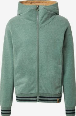 Sweatvesten Met Capuchon Sweatvest Testo Eiweiss Bräune Heren Groen Gemêleerd